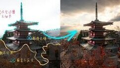 国产麻豆91在线播放-国产麻豆91，一个热闹纷繁的数字世界景象