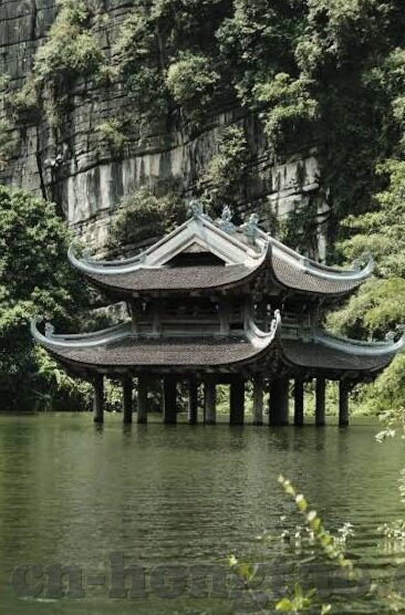 果冻在线传媒-探索果冻在线传媒，数字时代的创意传播新势力