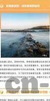 麻豆传媒印画-麻豆传媒与印画艺术——网络视界的跨界融合