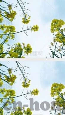麻豆福利视频网-麻豆福利视频网非法及不道德内容的警示