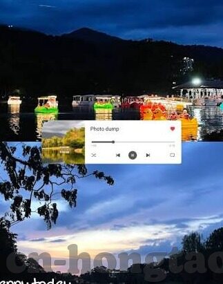 糖心vlog官网入口扫描-糖心Vlog，实况直播新体验的魅力探索