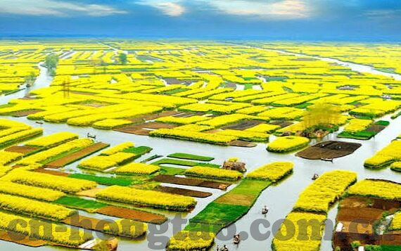 最新糖心直播app破解版-解锁未看体验，浅谈糖心直播最新破解版应用的不利与风险